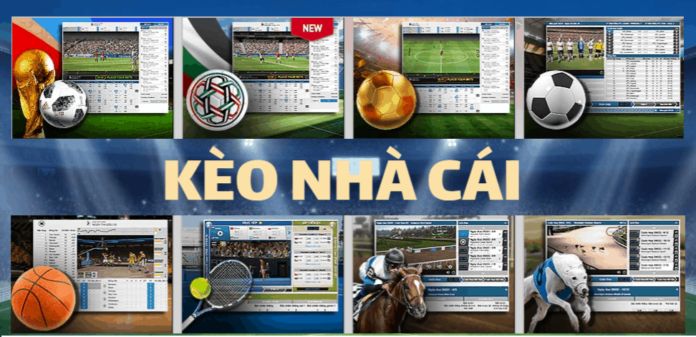 dau hieu nha cai thay doi keo 689c5161bd49e