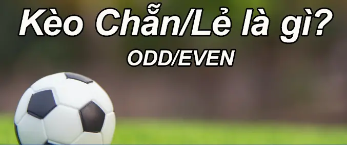 keo cuoc chan le bong da 689c072de731d