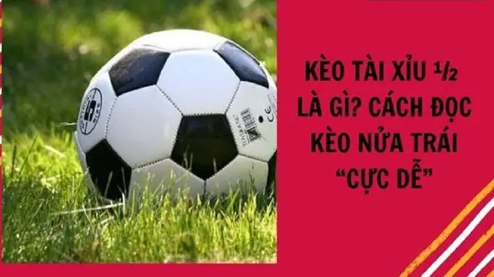 keo tai xiu 689c0d805a46a