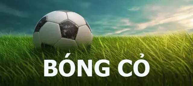 kinh nghiem choi keo bong co 689c11e9ad2cd