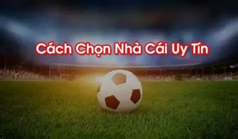 Ưu Điểm và Nhược Điểm Của Net79