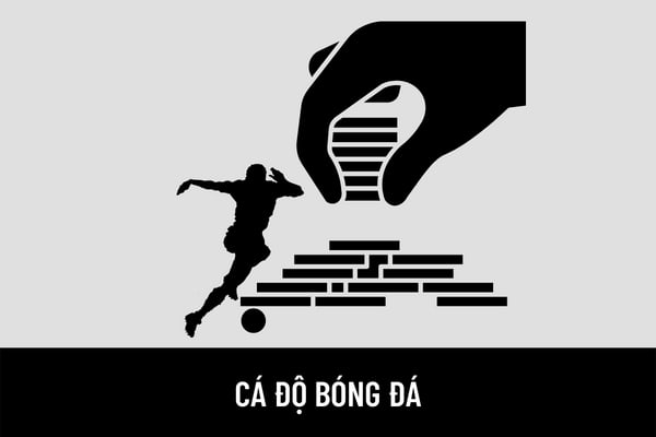Tại sao cá độ bóng đá luôn thua? - Những nguyên nhân và bài học