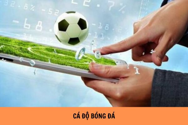 Tại sao cá độ bóng đá luôn thua? - Những nguyên nhân và bài học