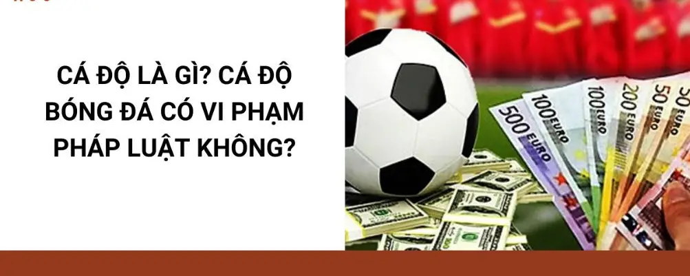 Tại sao cá độ bóng đá luôn thua? - Những nguyên nhân và bài học