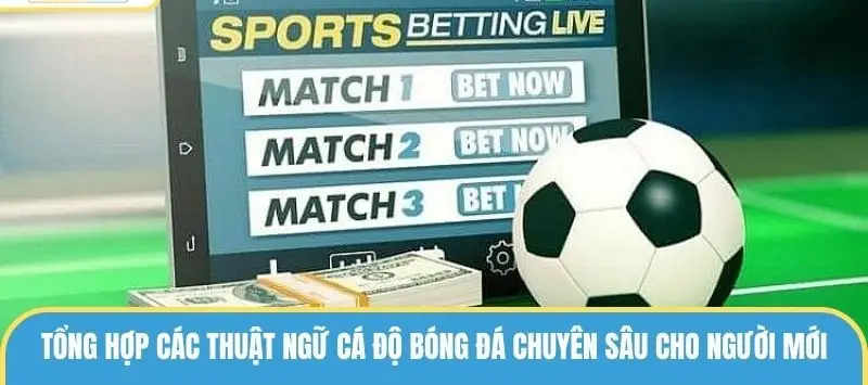 thuat ngu ca do bong da 689c53303006f