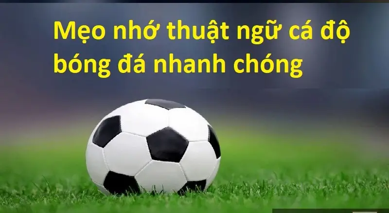 Thuật Ngữ Cá Độ Bóng Đá