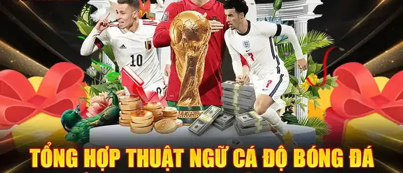 tong hop cac thuat ngu ca do bong da cho nguoi moi 689c533482ad8
