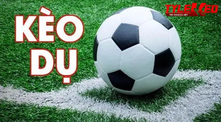 Kèo dụ là gì và tại sao cần nhận biết?